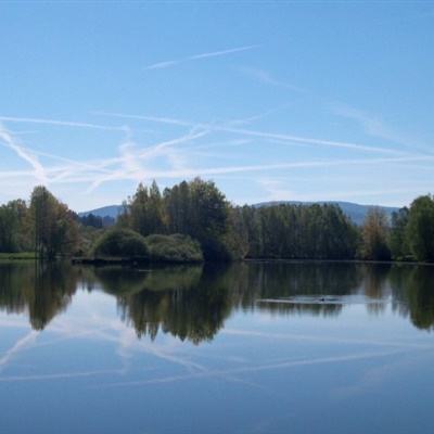 火柴人绳索挑战6